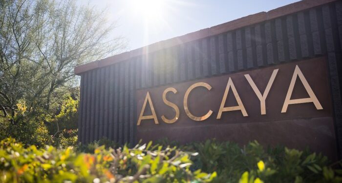 Unlock Luxury Options: Ascaya Homes for Sale | Anthony Romeo