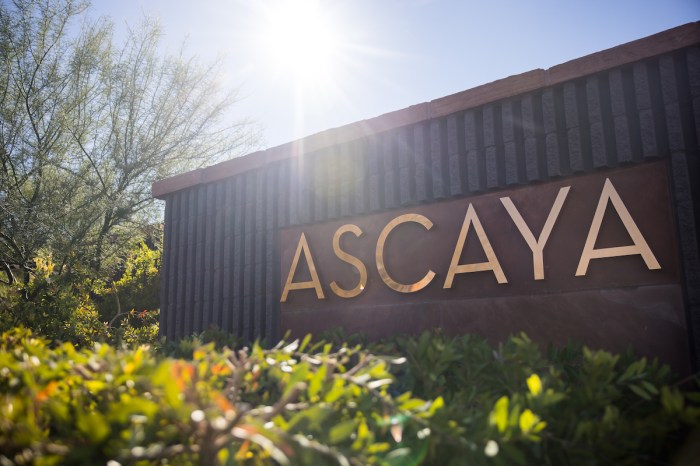 Unlock Luxury Options: Ascaya Homes for Sale | Anthony Romeo Unlock Luxury Options: Ascaya Homes for Sale | Anthony Romeo